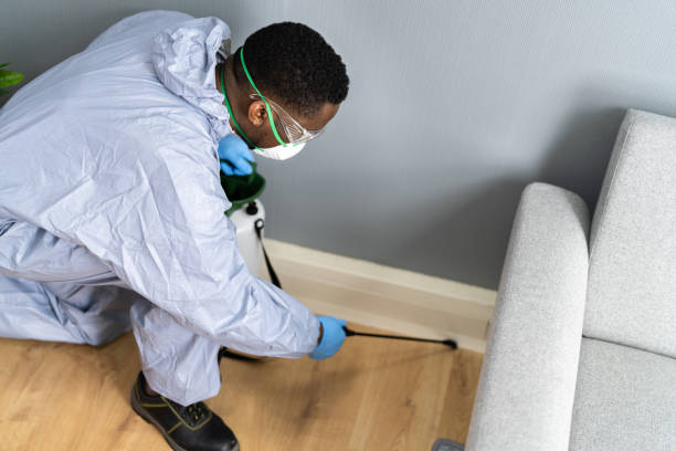 Emergency Pest Control Services in Rose Hills, CA